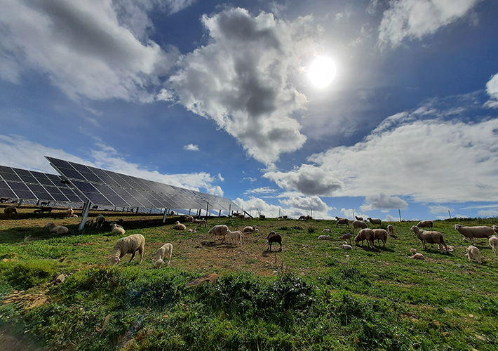 Foto Capital Energy avanza en la tramitación de La Encantada, su primera planta fotovoltaica en Castilla-La Mancha, de 8 MW de capacidad.